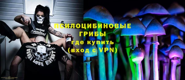 дживик Балахна