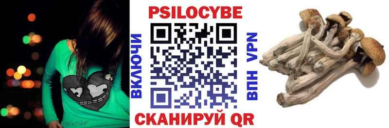 Галлюциногенные грибы Magic Shrooms  Купить где  Барабинск 